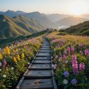 자연의 품 이미지