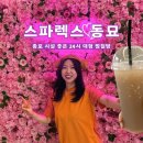 동묘 스파렉스, 서울 시설 좋은 24시 대형 찜질방