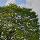 플루트(Ⅰ) | [시민기자단 3기 박현희] 광주시립교향악단 400회 정기연주의 &#39;혁명가들&#39; ｜11월 광주공연 추천