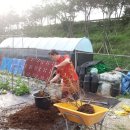 영세농장 이미지