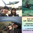 협동조합 청청 네이버블로그