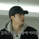 마니또 스타뉴스