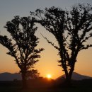 김용우 행정사 이미지