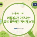 뽑아가즈아 이미지