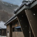 스테이펫 이미지