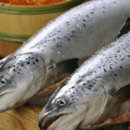 지니푸드 이미지