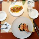 스테디어(STEADYER) 이미지