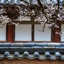 선암사 - 1428 | 선암사