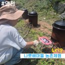 아이와 함께 서울 도시가족 주말농부 체험- 연천 나룻배마을(가마솥밥짓기, 블루베리 수확)