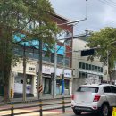 송현동 강아지 이미지