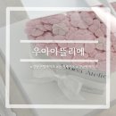 우아케이크 | 강남구청케이크 우아아뜰리에 고급진 떡케이크 후기 💕
