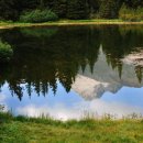 알프스가든 이미지