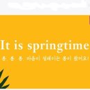 씨에프코스메틱 이미지