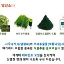 트루그린