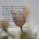 항공대학로 | [혜화 카페] 천상의 맛 터키 카이막 디저트 카페 모센즈스위트 대학로점
