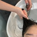 쎄이헤어 이미지