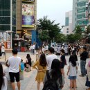 신한예술단 이미지