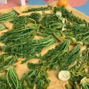 제주안안민박 이미지