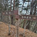 (주)조선호텔앤리조트 부산 체력단련장 | [울진]백암산, 그리운 것은 저만치 거리에
