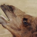 청정1호 태양광발전소 이미지