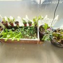 옥계남로-11 이미지