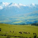 조인트한의원 이미지