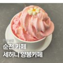 허니카페 | 순천 카페 세허니 양봉카페 후기