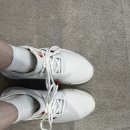 테니스타 (TENISTA) 이미지