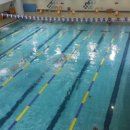 매일스포렉스 이미지