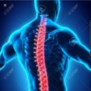 바디엔지니어 이미지