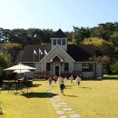 책속의길 작은도서관 이미지