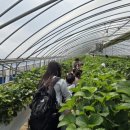 배재대학교부속유치원 이미지