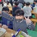 화창태권도장 이미지