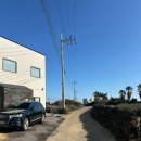 판포보름 이미지