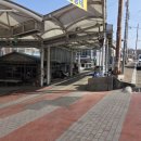 파랑새펜션 이미지