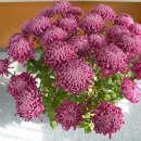 야로우체국 이미지