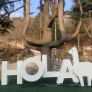 올라알파카 카페 이미지