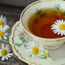 신세계무도장 이미지