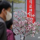 참동물의료센터 이미지