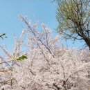 새절역1번출구 이미지