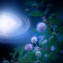 부여세탁소 빨래방 이미지