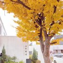 고은햇살 | 외암마을근처맛집 고은밥상 — 건강하고 정갈한 한 끼🌿