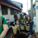 장미화원 이미지