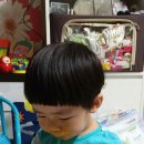우리몸애 이미지