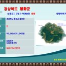 NEW성원공인중개사사무소 | #사과과수원매매 8월중순 부터 11월말 까지 작업누수 없이 수확환경 좋은 경상북도 봉화군 물야면...