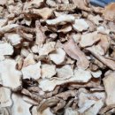 돼지은행 이미지