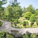 제주섬돌 이미지