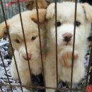 ★스물아홉살 제주도 직딩★ 며칠간의 일상 및 1월마감^^* 이미지