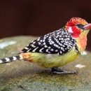 구.대광중 이미지