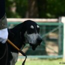 화이트 앤 블랙 이미지